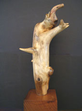 Elephas